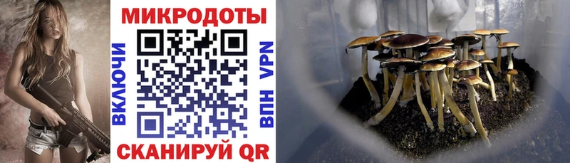 Купить закладки Советский Псилоцибиновые грибы Psilocybine cubensis